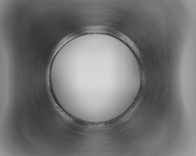 X0000113181386200909040945