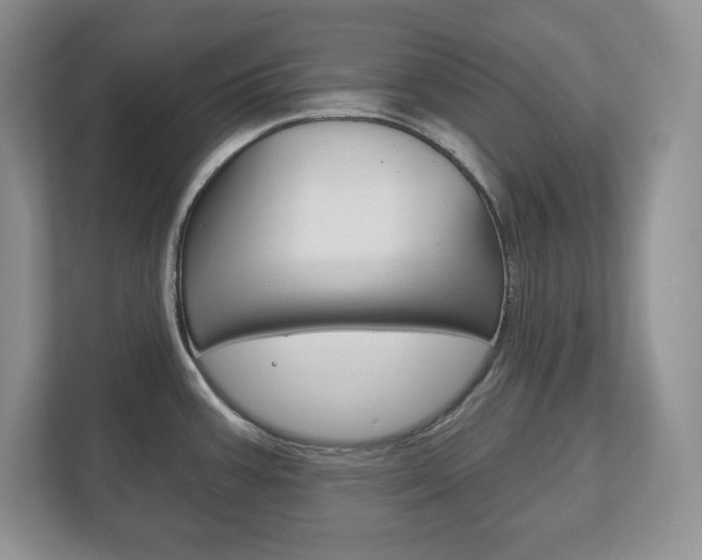 X0000113181387200909040945