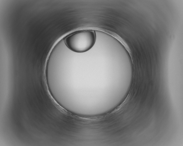 X0000113181388200909040945