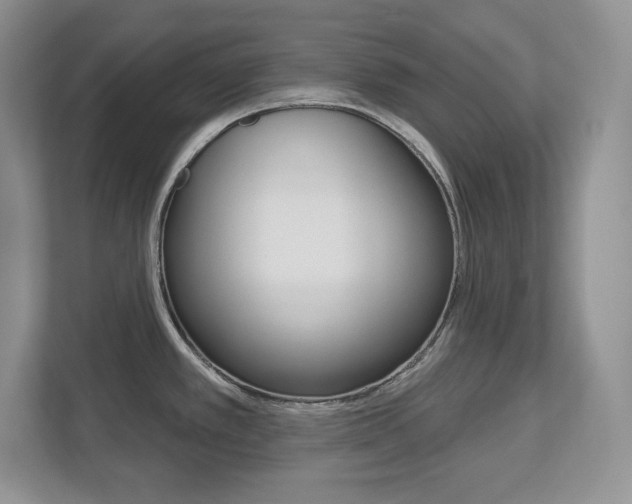 X0000113181389200909040945