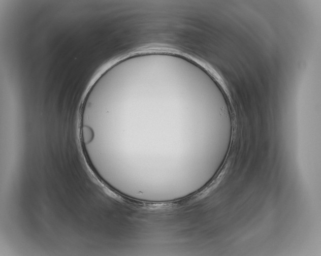 X0000113181390200909040945