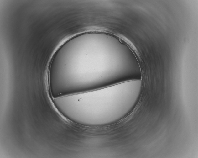 X0000113181391200909040945