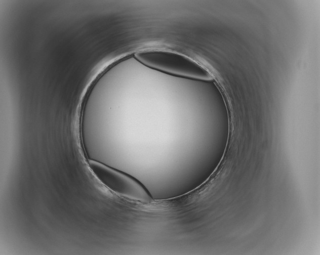 X0000113181392200909040945