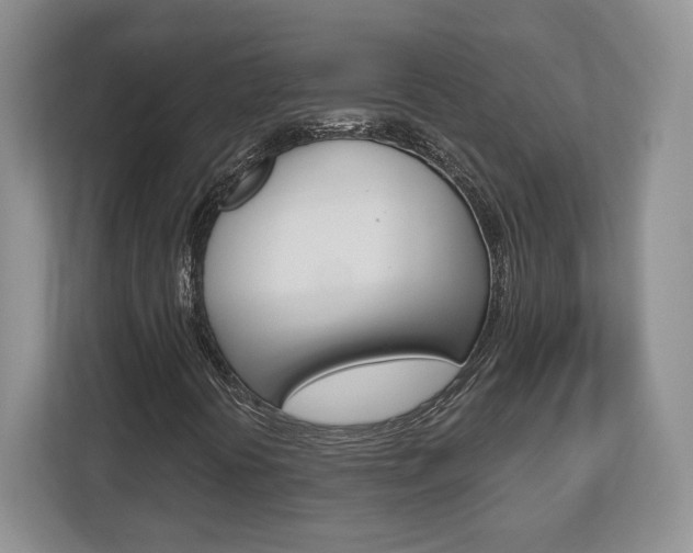 X0000113181394200909040944