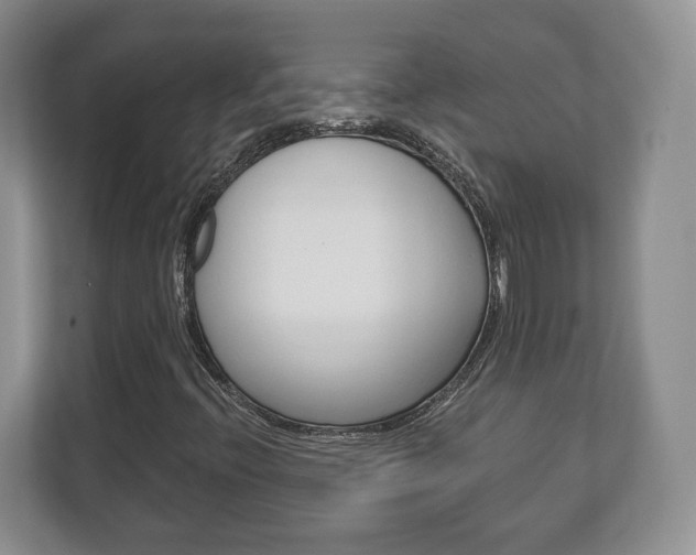 X0000113181396200909040944