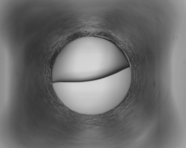 X0000113181397200909040944