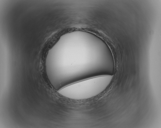 X0000113181398200909040944