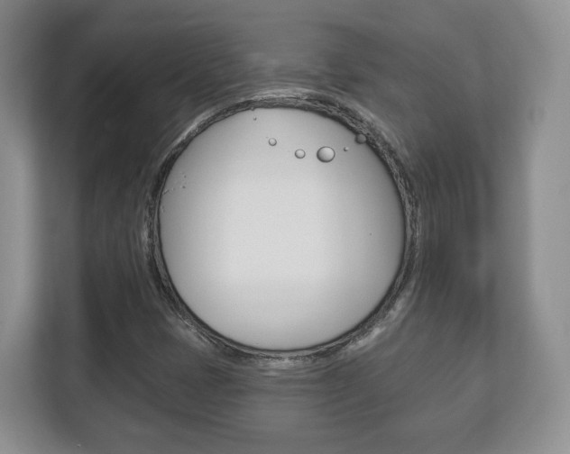 X0000113181401200909040945