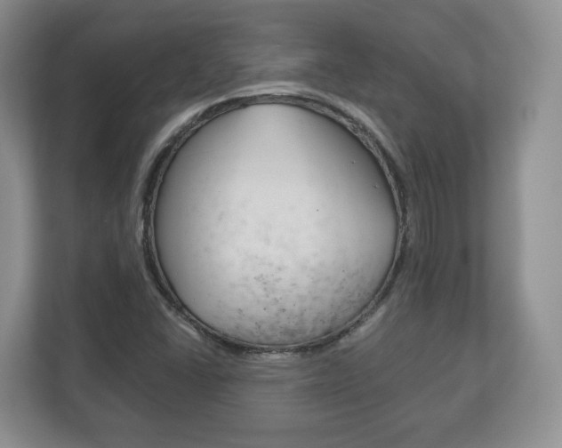 X0000113181406200909040945