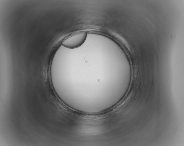 X0000113181407200909040945