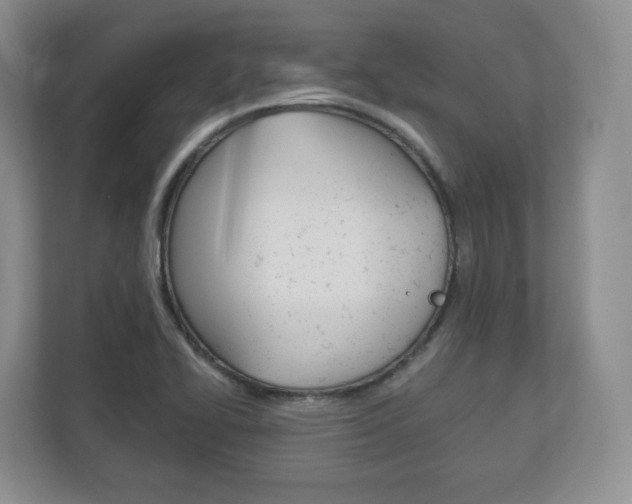 X0000113181414200909040945