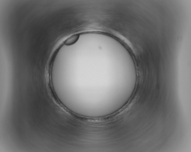 X0000113181415200909040945