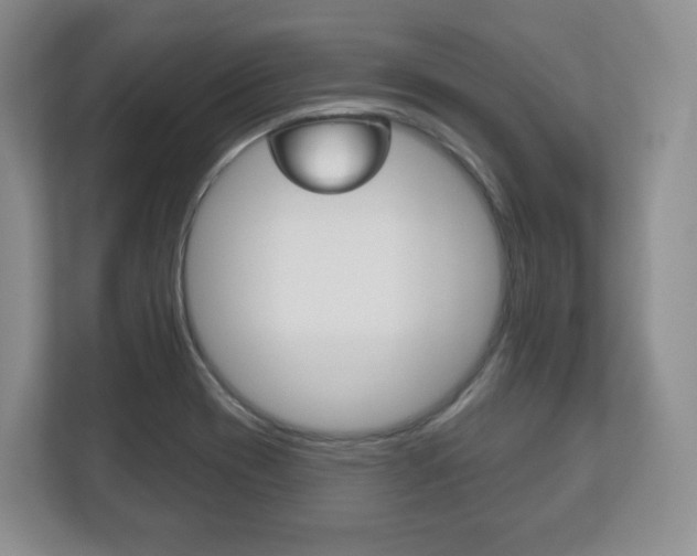 X0000113181417200909040945