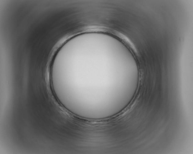 X0000113181419200909040945