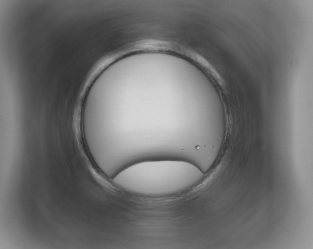 X0000113181421200909040945