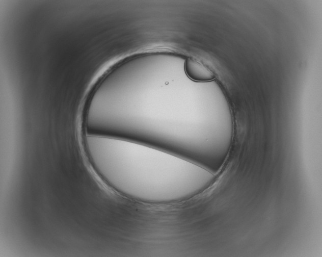 X0000113181422200909040945