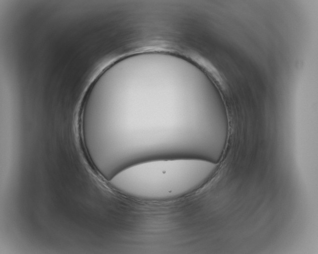 X0000113181423200909040945