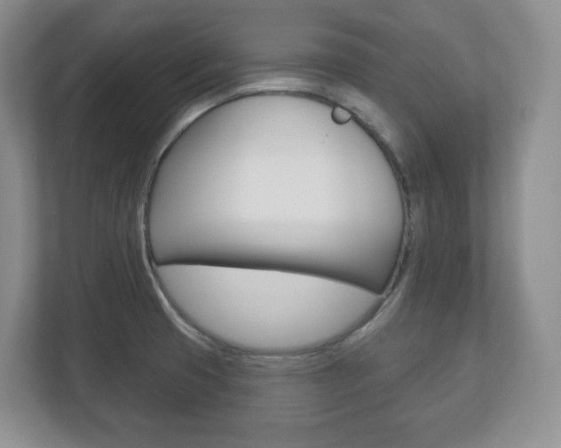X0000113181425200909040945