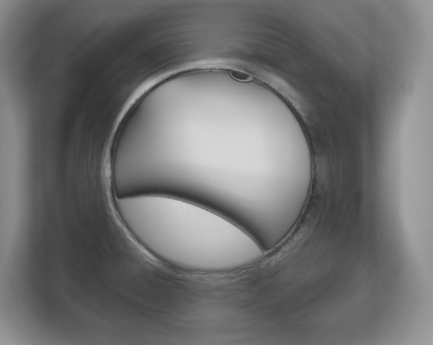 X0000113181428200909040945