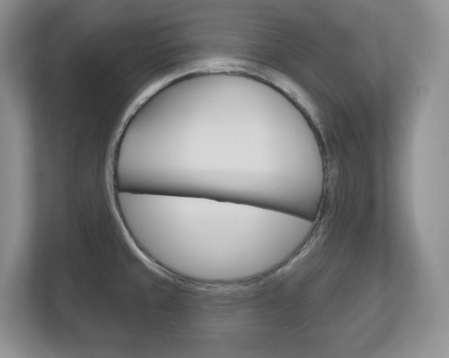 X0000113181429200909040945