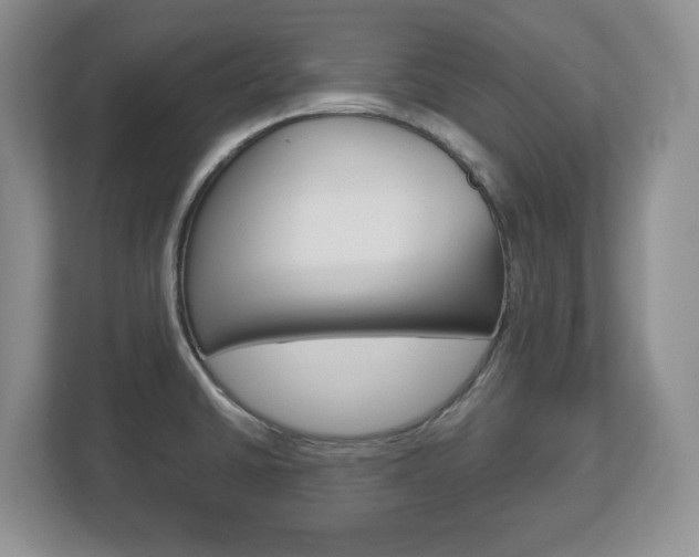 X0000113181430200909040945