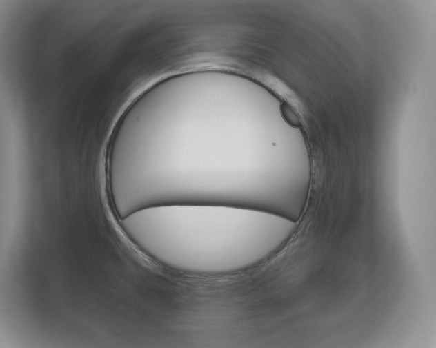 X0000113181431200909040945