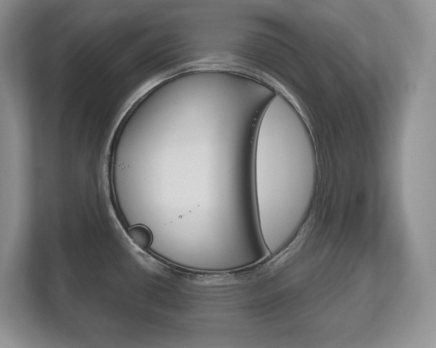 X0000113181434200909040945