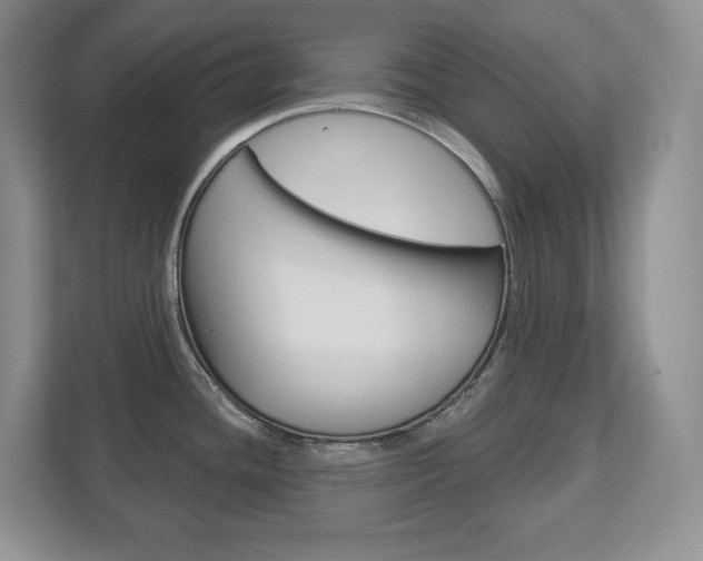 X0000113181436200909040945