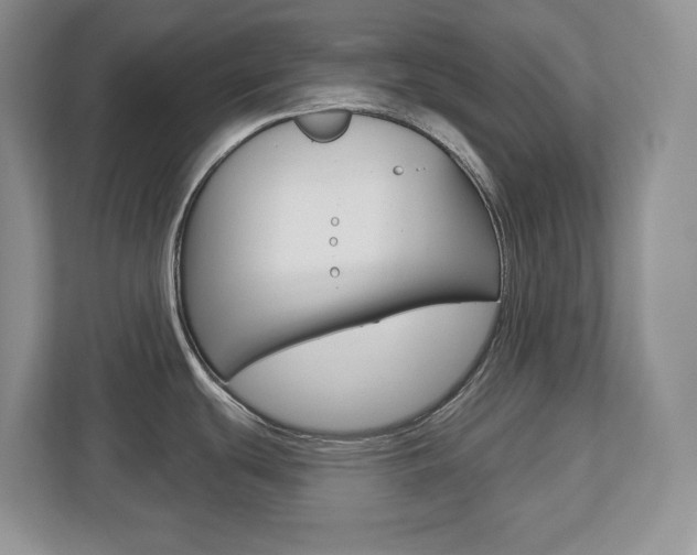 X0000113181439200909040945