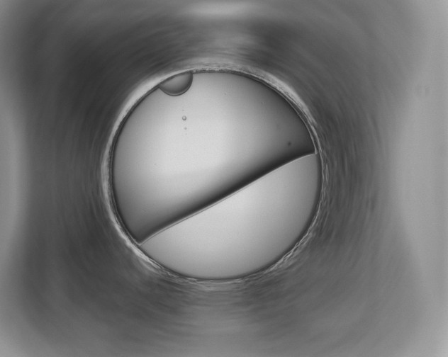 X0000113181440200909040945