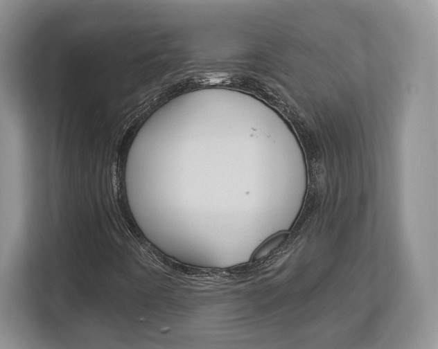 X0000113181442200909040944