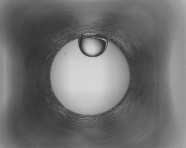 X0000113181444200909040944