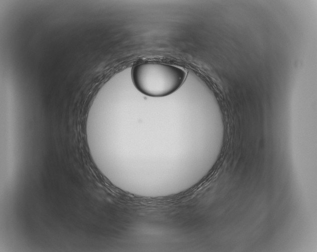 X0000113181445200909040944