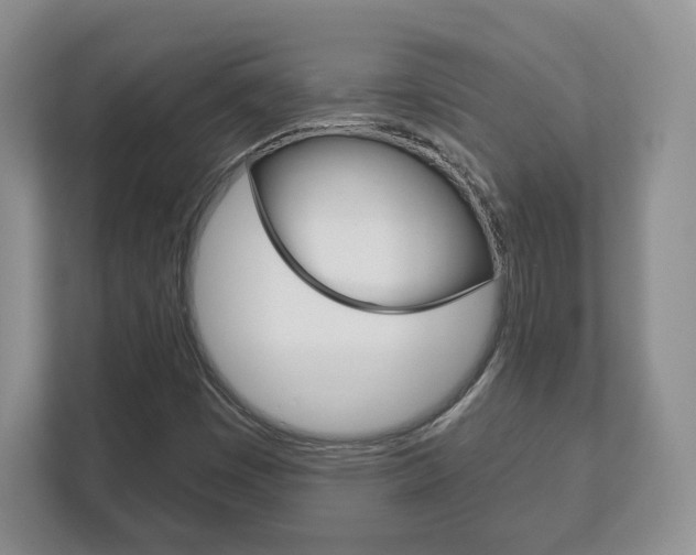 X0000113181449200909040944