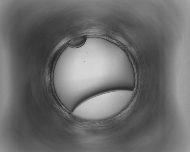 X0000113181450200909040944