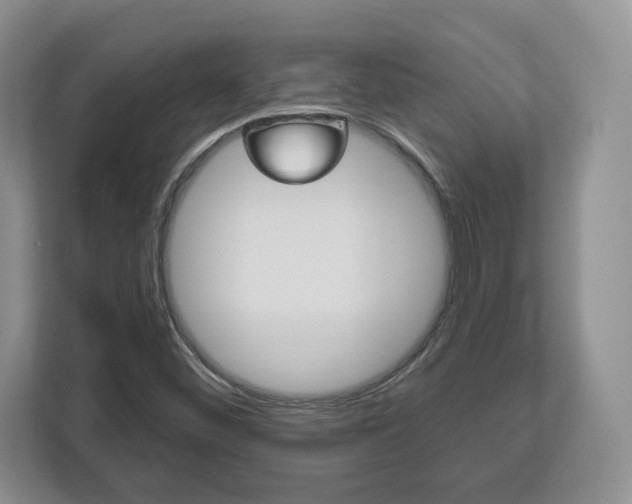 X0000113181452200909040944