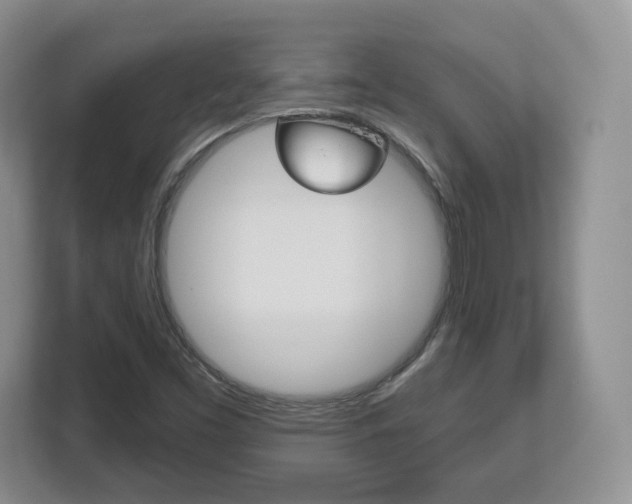X0000113181453200909040944