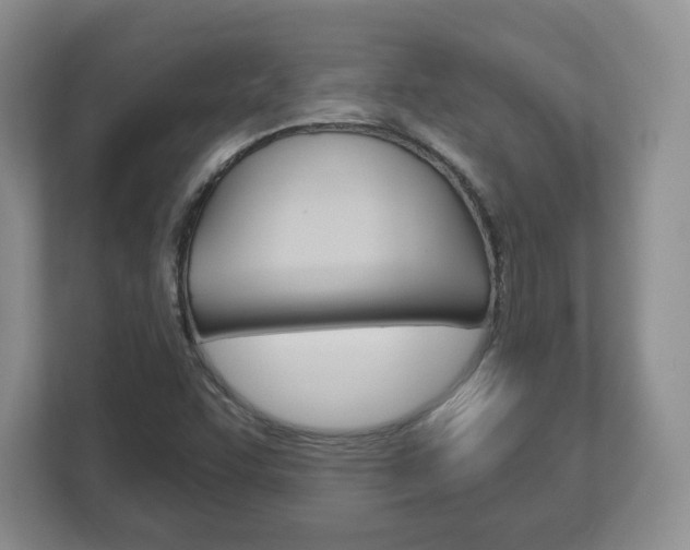X0000113181455200909040944