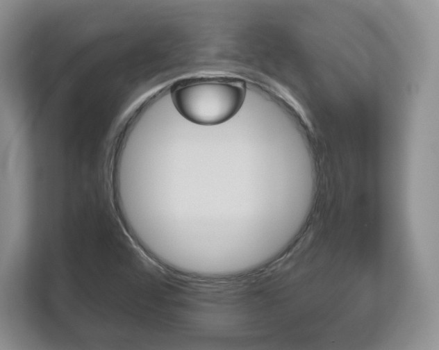 X0000113181456200909040944