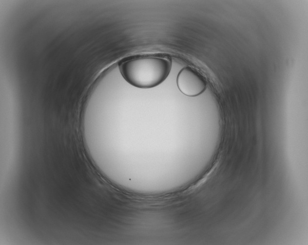 X0000113181457200909040944