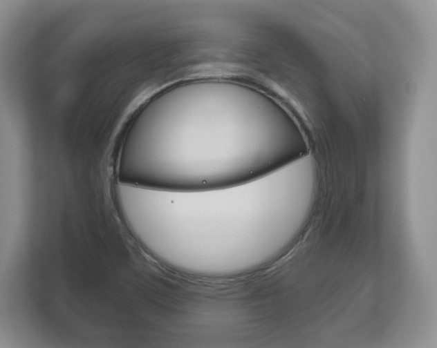 X0000113181459200909040944