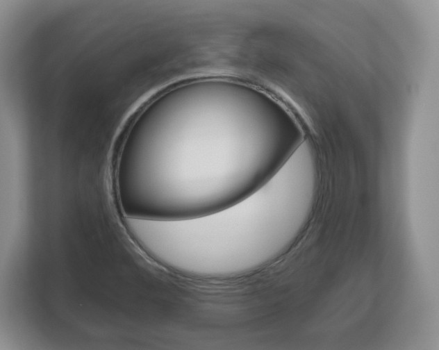 X0000113181460200909040944