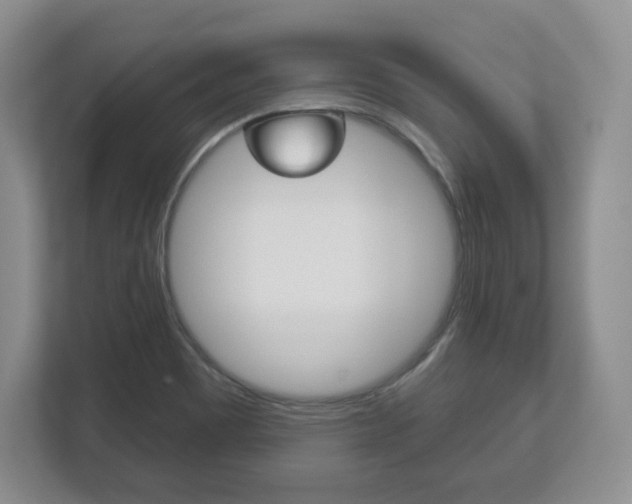 X0000113181465200909040944