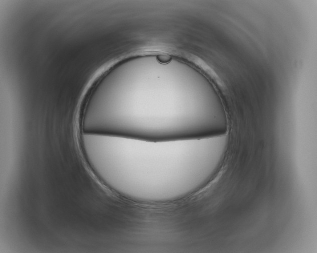 X0000113181469200909040944