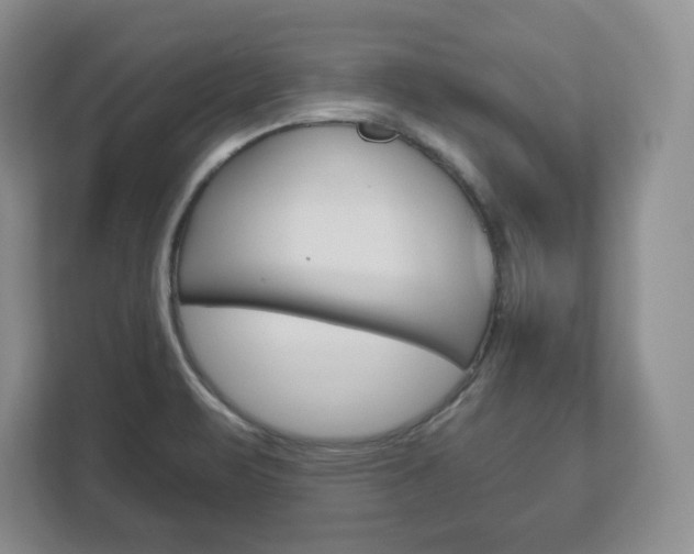X0000113181471200909040944
