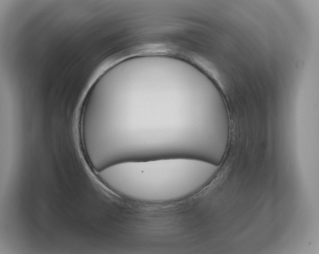 X0000113181475200909040944