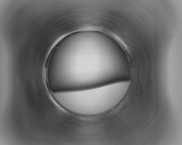 X0000113181476200909040944