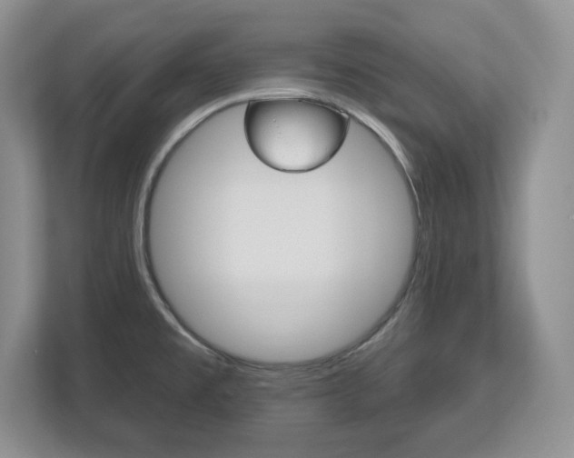 X0000113181477200909040944
