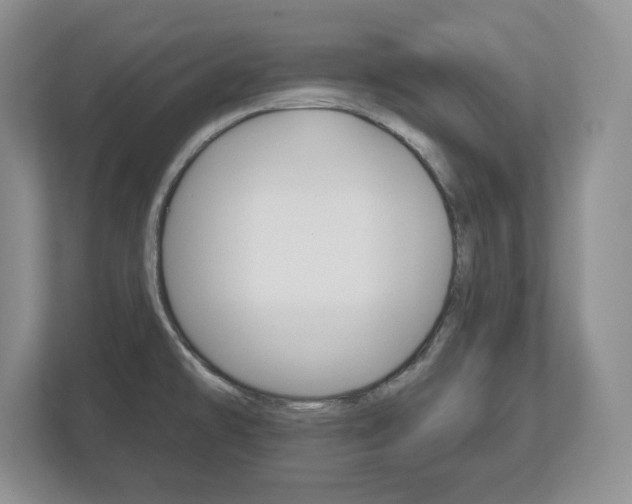 X0000113181478200909040944