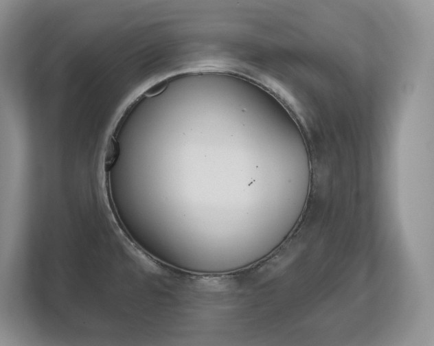 X0000113181480200909040944